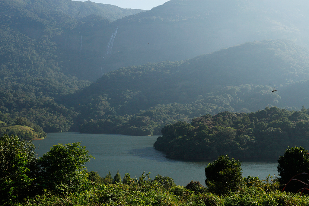 Siruvani forest stay kerala palakkad