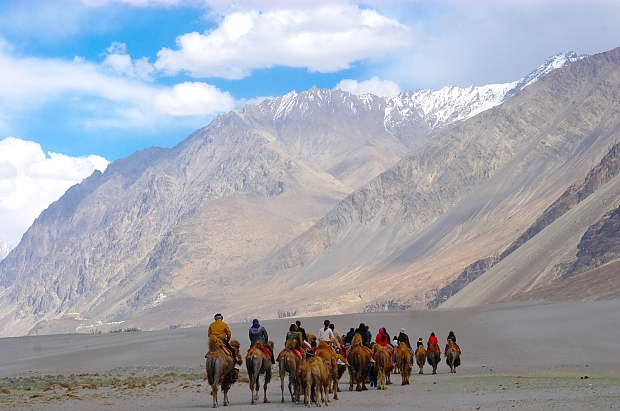 ladakh tripupdates