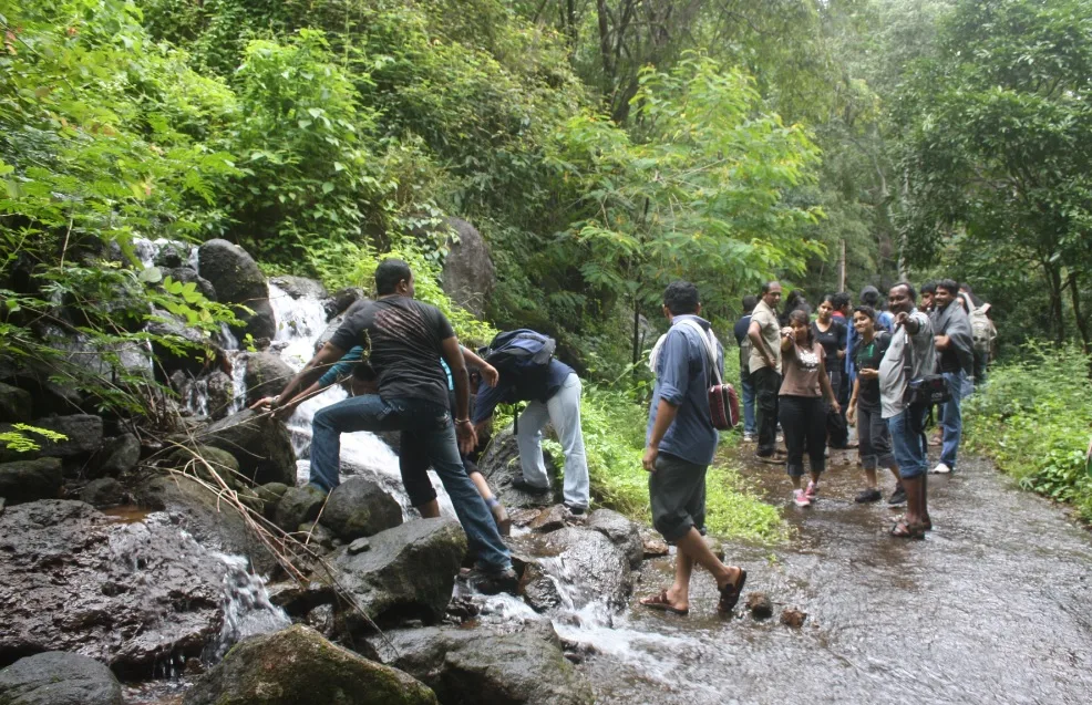 vazhachal trekking tripupdates.in