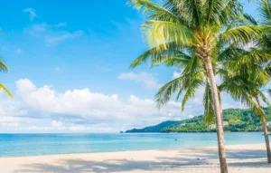 goa trip updates