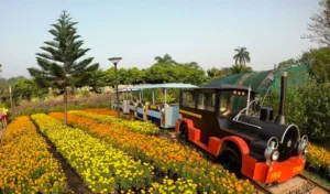 malampuzha garden flower show trip updates