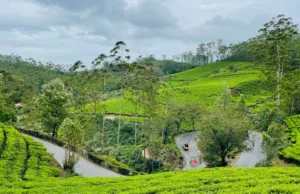 munnar winter trip updates