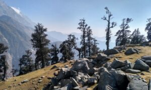 triund trek himachal tourism trip updates
