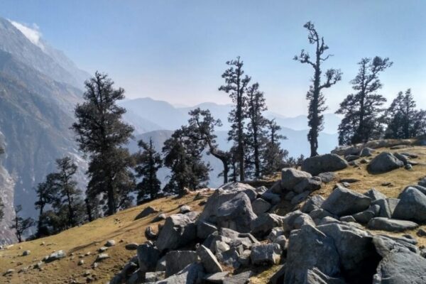 triund trek himachal tourism trip updates