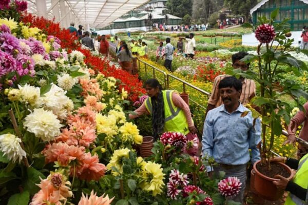 ooty flower show 2024 trip updates