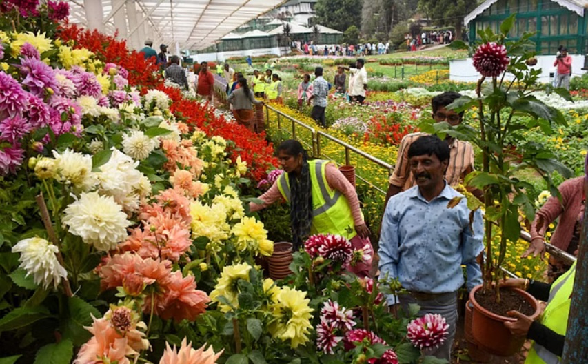 ooty flower show 2024 trip updates