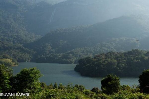 siruvani forest safari